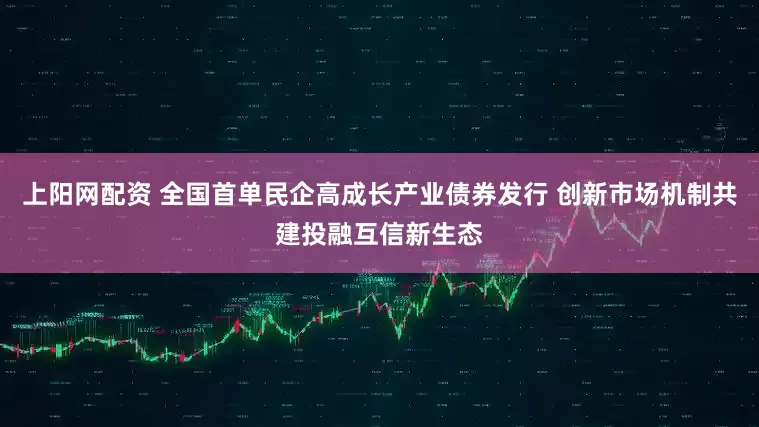上阳网配资 全国首单民企高成长产业债券发行 创新市场机制共建投融互信新生态