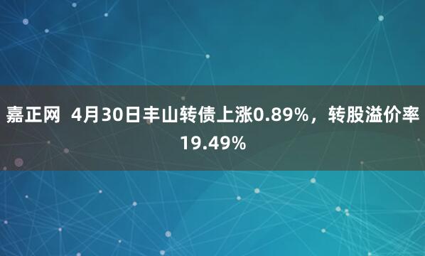 嘉正网  4月30日丰山转债上涨0.89%，转股溢价率19.49%