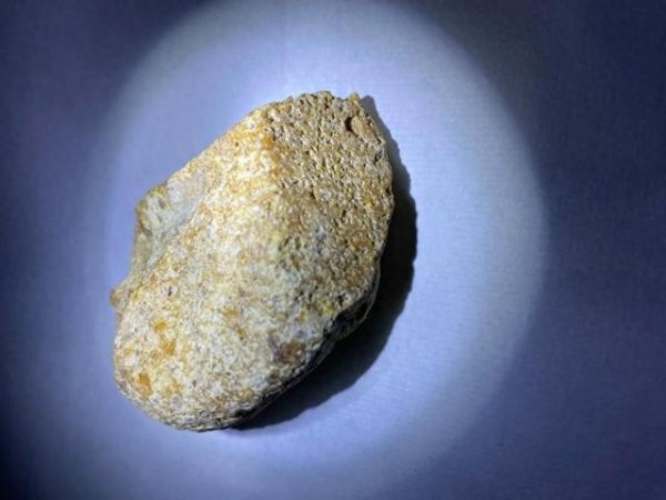 添盈聚富 鲸排泄物龙涎香，为何拉出来的香而且比黄金贵，人工取出来的臭？