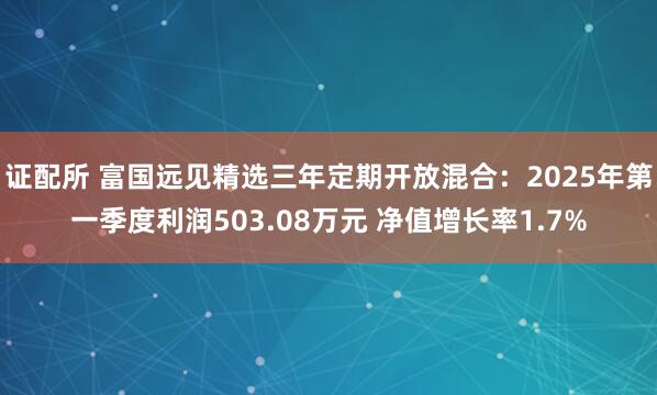 证配所 富国远见精选三年定期开放混合：2025年第一季度利润503.08万元 净值增长率1.7%